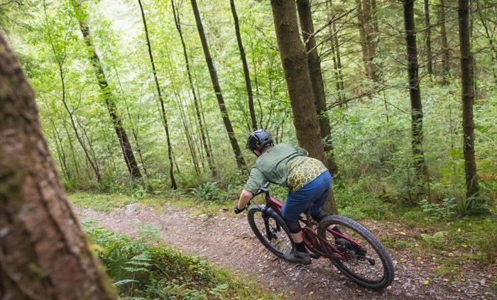 Mountain biking in Byrgwm, Brechfa Forest
